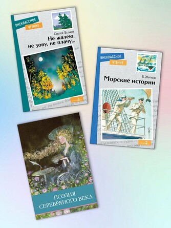 Комплект Внек. Чтение. Не жалею, не зову, не плачу. 