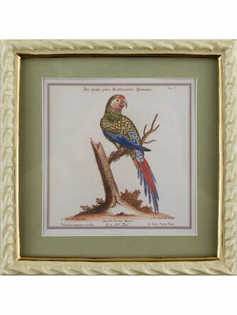 Панно настенное Попугай 22x2x23см Glasar
