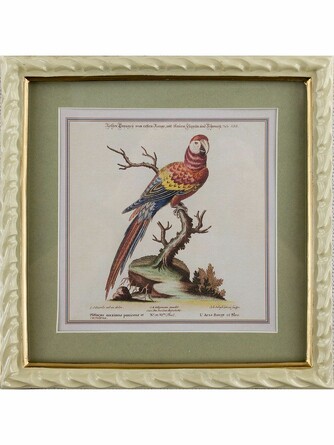 Панно настенное Попугай 22x2x23см Glasar