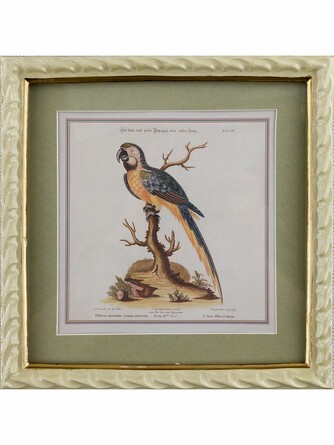 Панно настенное Попугай 22x2x23см Glasar
