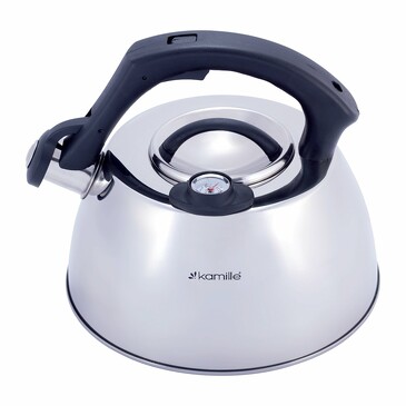 Чайник со свистком и термометром 3 л Kamille