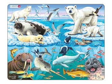 Пазл. Арктика Larsen