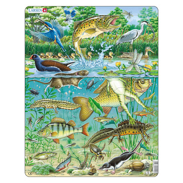 Пазл. Пруд Larsen