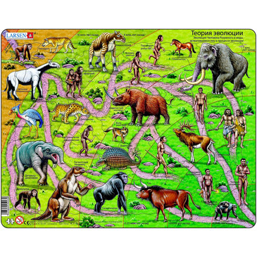 Пазл. От обезьяны до человека Larsen