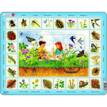 Пазл. Поле Larsen