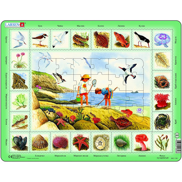 Пазл. Побережье (Русский) Larsen