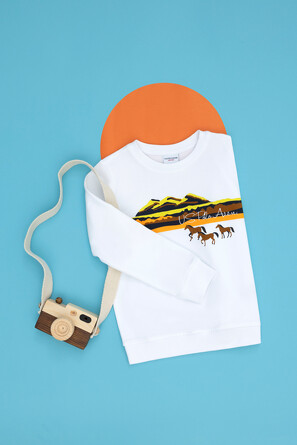 Свитшот U.S. Polo Assn.