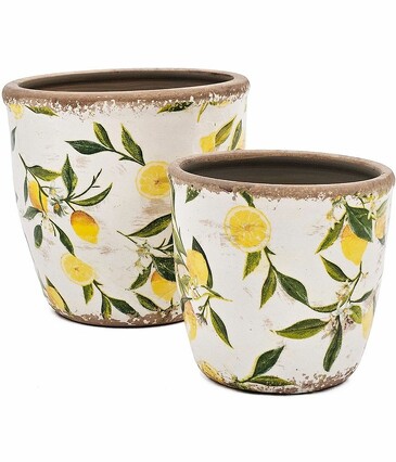 Кашпо с лимонами (2 шт.) 16х16х16, 13х13х12см Glasar